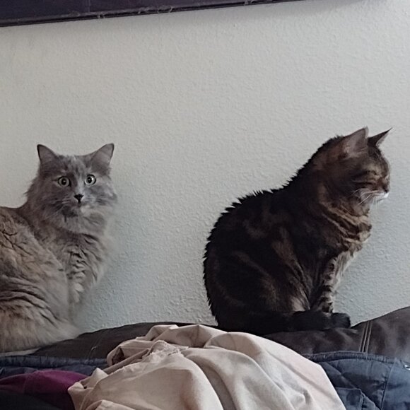 Meet your Posher, Dennis - Picture 1 of 13